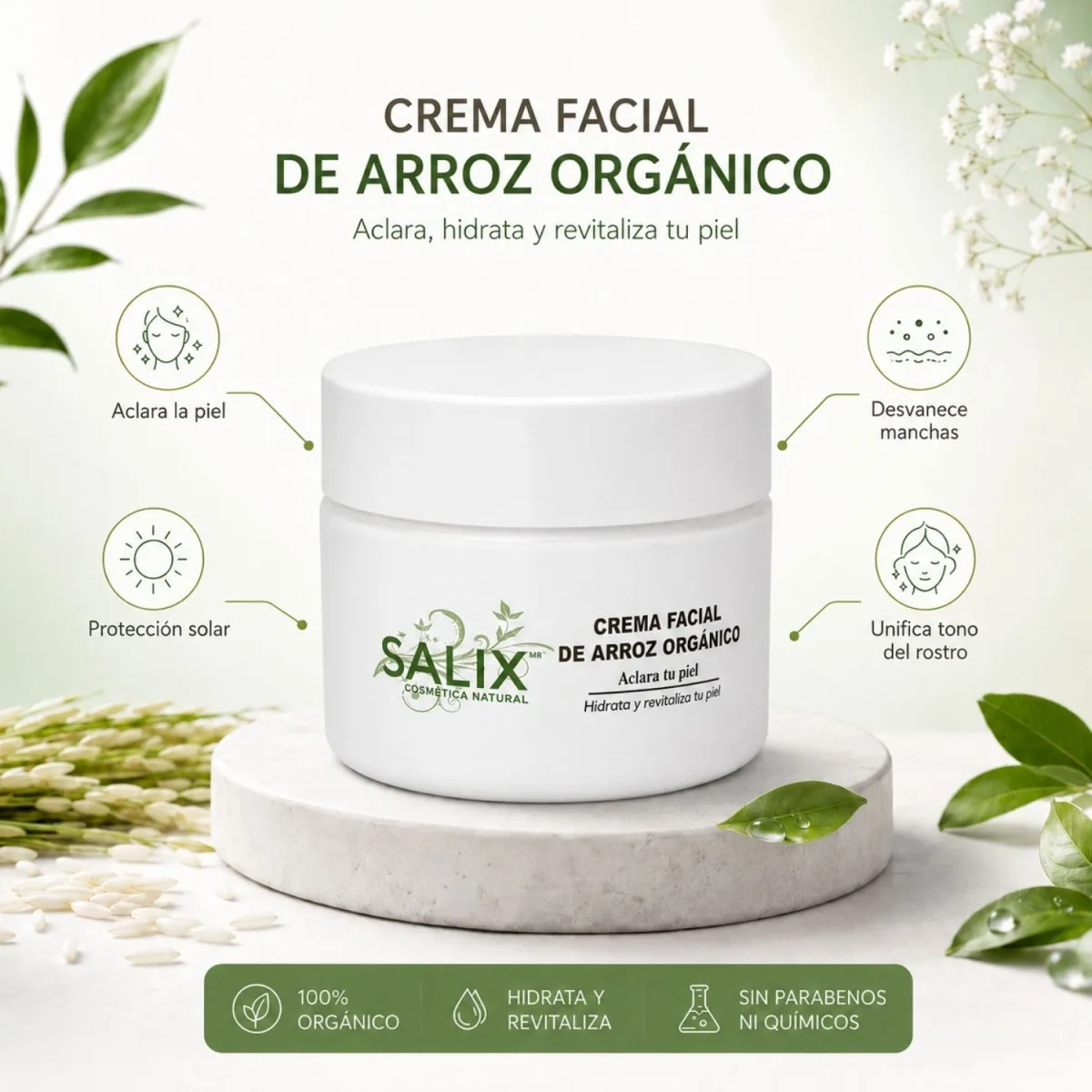 Crema de Arroz